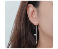 Gorgeous CZ with Drop Silver Earring STC-2160 